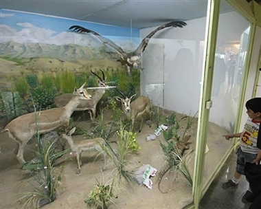 احداث بزرگترین موزه تاریخ طبیعی استان در شهرستان سراب