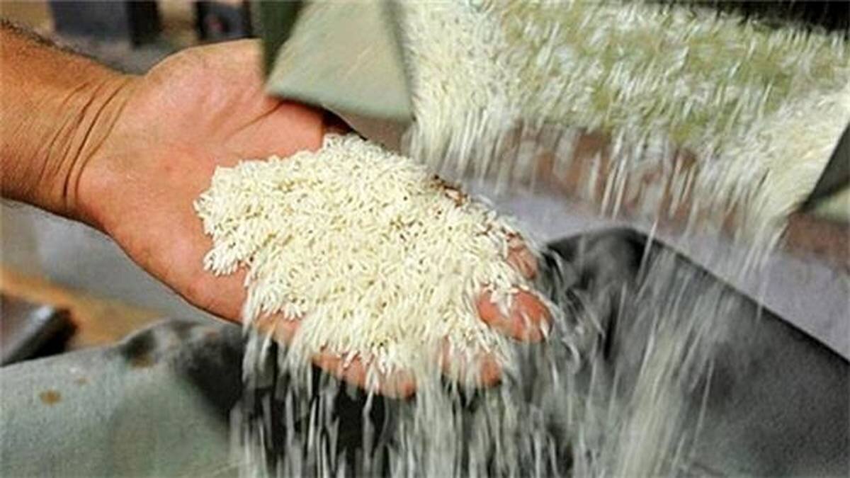 پرداخت ۳۵ میلیارد تومان از مطالبات برنجکاران مازندران