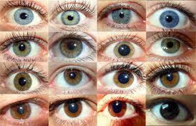 تاثیر عجیب رنگ چشم بر توانایی خواندن