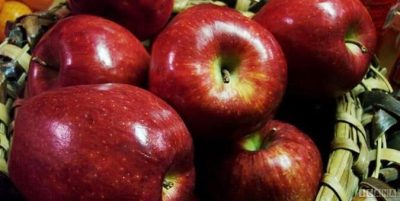 افزایش ۱۵درصدی صادرات سیب در کشور
