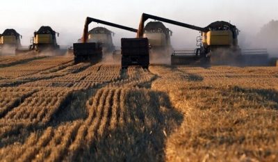رتبه نخست آذربایجان‌شرقی در کشاورزی قراردادی