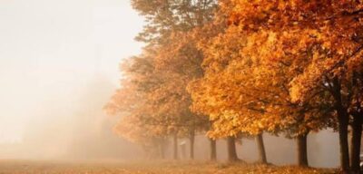 اضطراب‌های یک نسل  در آستانه‌ی پاییز